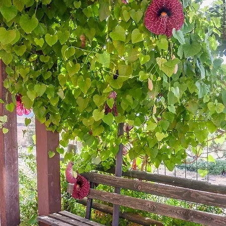 Cuaddus E Tellas Vakantieboerderij *