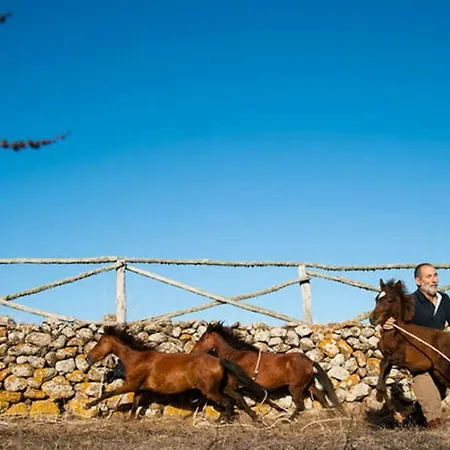 Cuaddus E Tellas Nuragus