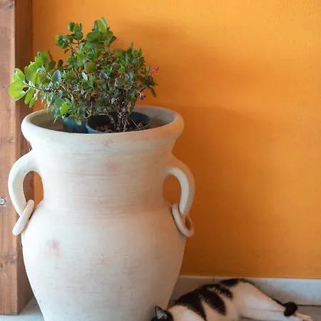 Cuaddus E Tellas